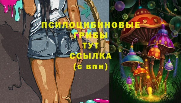 стаф Сосновка